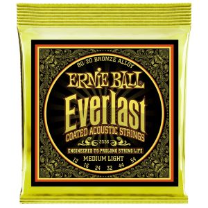 ERNIE BALL EVERLAST EXTRA LIGHT 2560